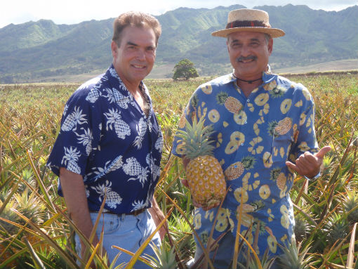Oahu Pineapple Farm
