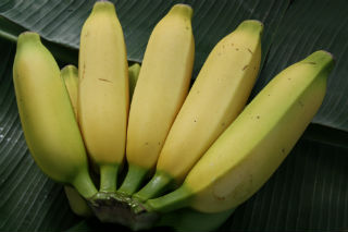 Apple Banana bunch