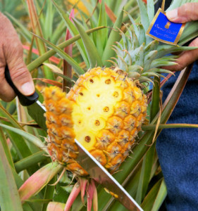 Prepare a pineapple